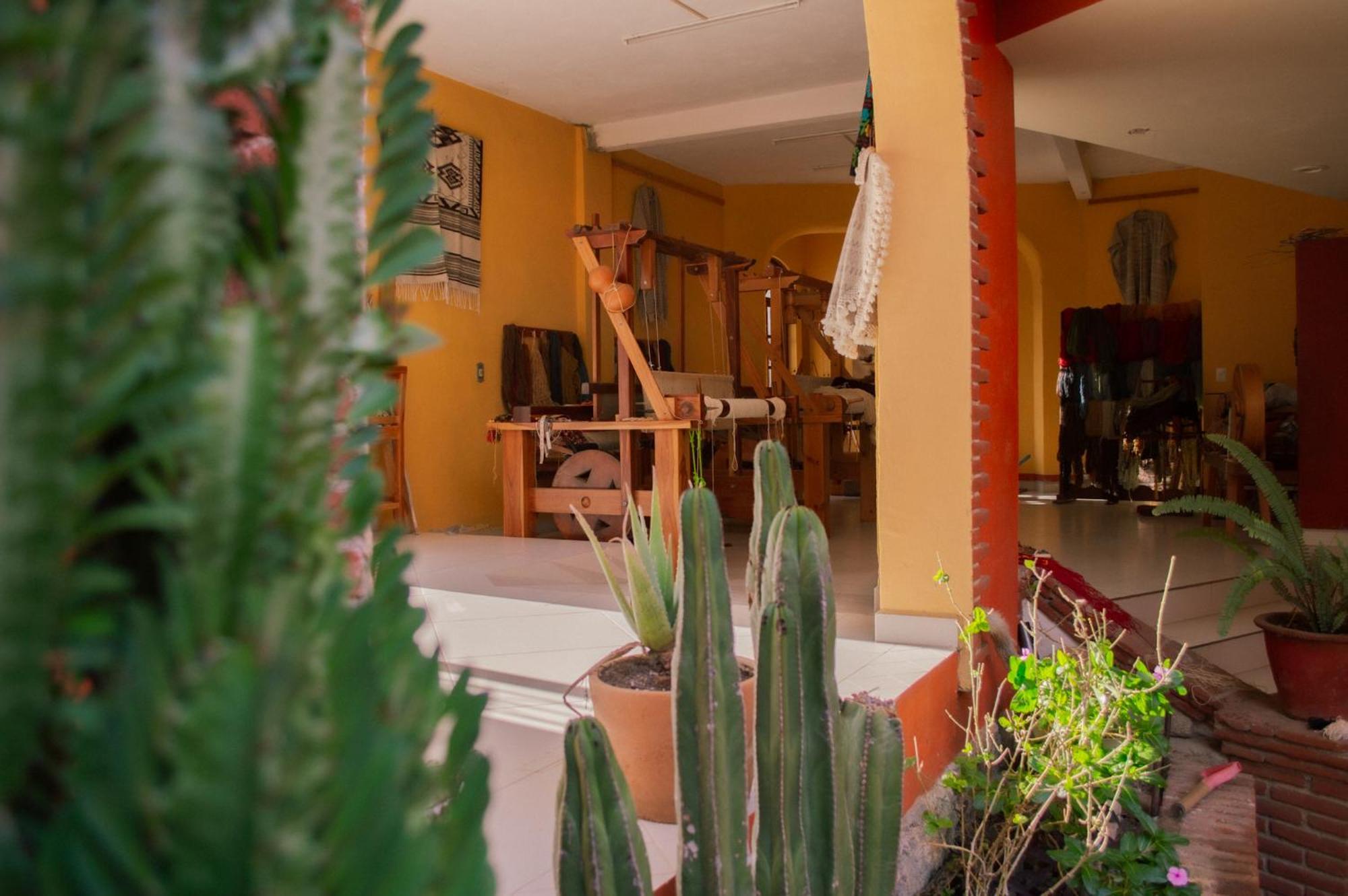 La Cupula B&B Teotitlan Teotitlán del Valle Zewnętrze zdjęcie